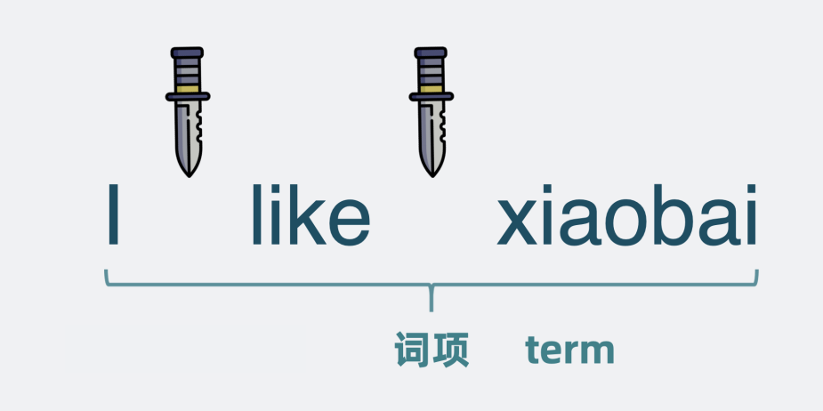 词项是什么