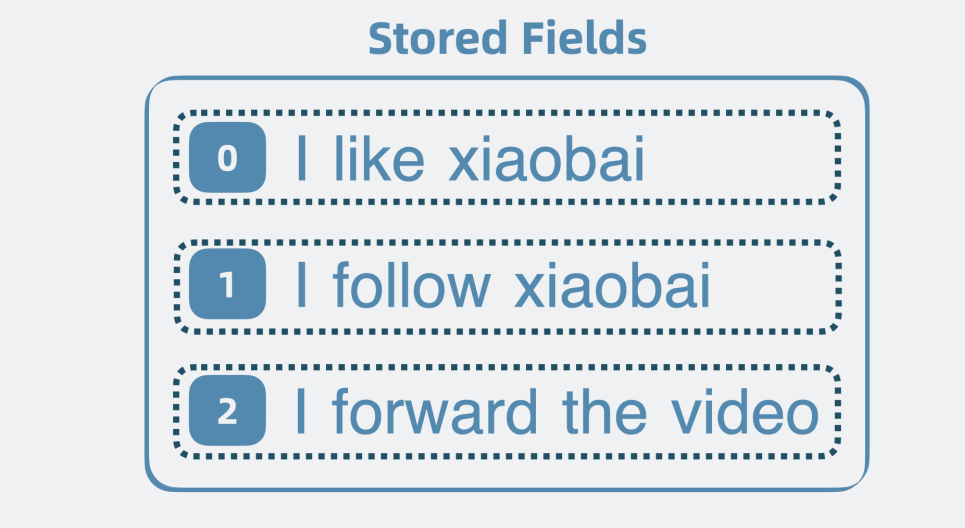 Stored Fields