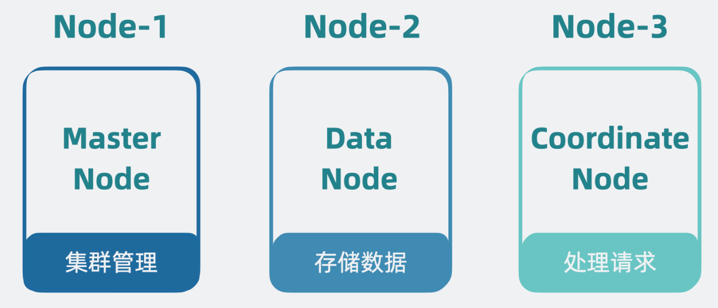 角色分化